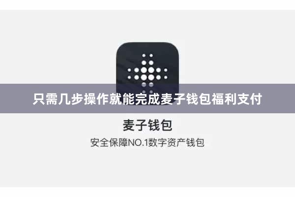 只需几步操作就能完成麦子钱包福利支付