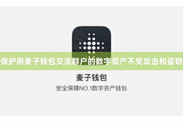 保护用麦子钱包交流群户的数字资产不受攻击和盗窃