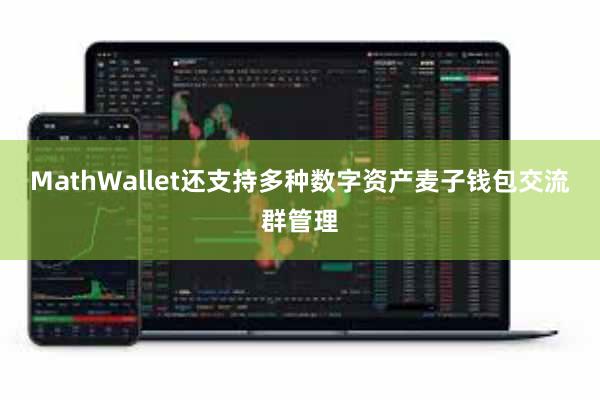 MathWallet还支持多种数字资产麦子钱包交流群管理
